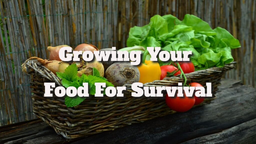 Growing Your Food for Survival – Tips and Practices