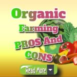 Organic Farming: Benefits and Drawbacks Uncovered