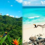 Belize and Costa Rica’s Rainforests and Reefs: Eco-Adventures