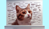 Cat Meme Guide: How to Achieve Feline Internet Fame