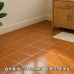 Terracotta Tile Resealing: Top Tips and Timing Guide