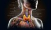 Thyroid Blood Test Services: Quick and Reliable in Aylesbury