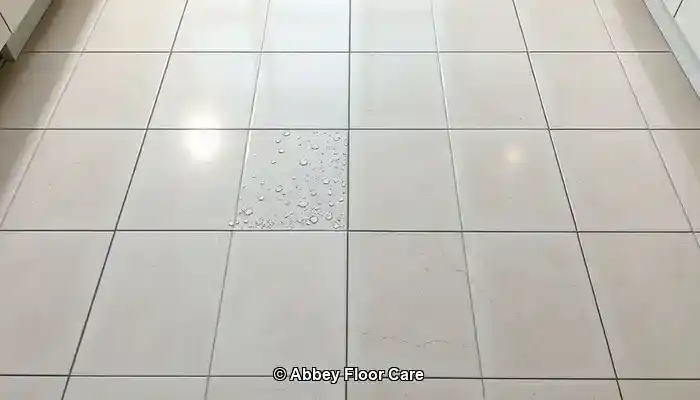 Grout Sealing Methods for Long-Lasting Protection