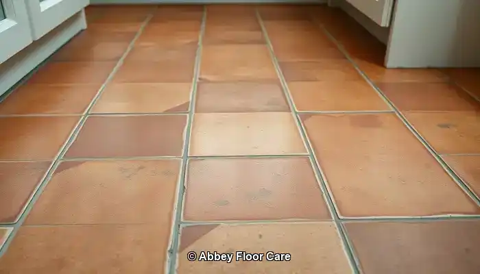 Discovering the Reasons Behind Quick Dirt Build-Up on Terracotta Floors