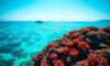 Belize Travel Guide: Essential Location Information and Tips