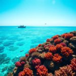 Belize Travel Guide: Essential Location Information and Tips