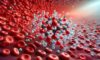 Ferritin Blood Test Guide for Iron Levels in Southampton