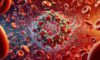 Ferritin Blood Test Insights You Should Know in Torquay