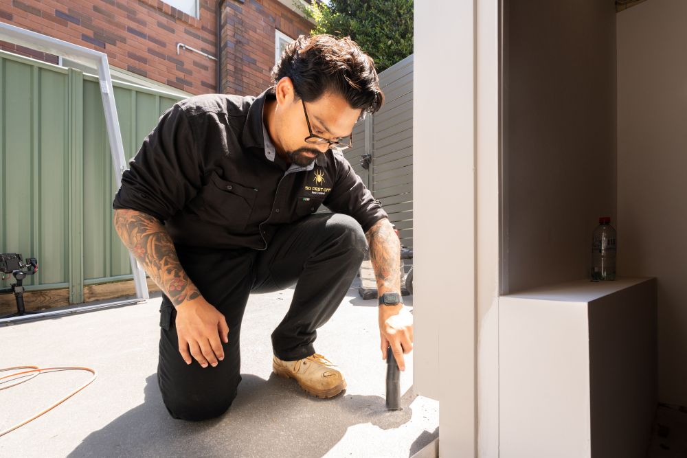 Inspection of Termite Barriers